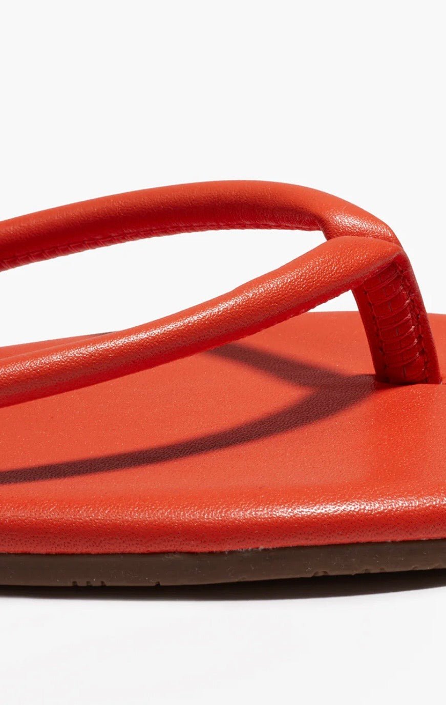 Tubular Lily Citra TKEES - The Poolclub Monaco